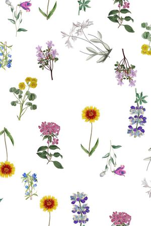 清爽印花华亿平台图片