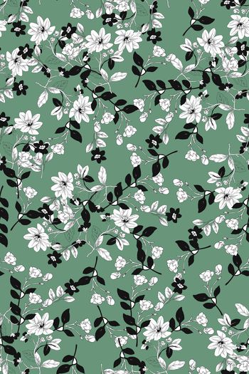 1547134-花卉22001-3