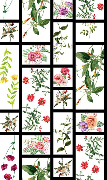 绿植树叶印花华亿平台图片