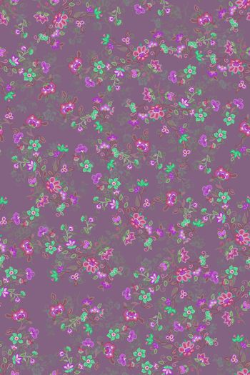 1547552-花卉22005-3