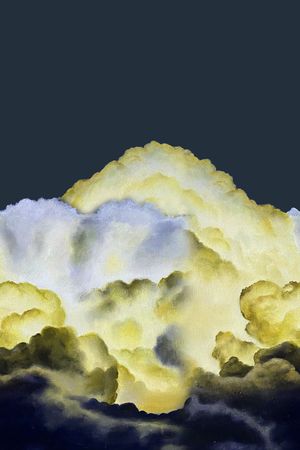 数码定位花印花华亿平台图片