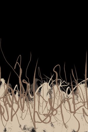 线条印花华亿平台图片