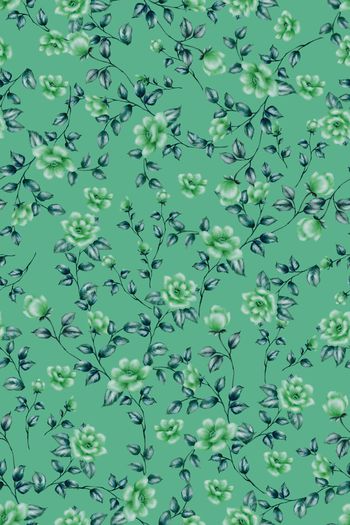 1549379-花卉22012-4