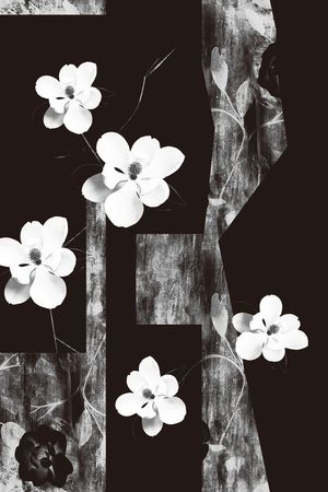 扎染华亿平台印花华亿平台图片