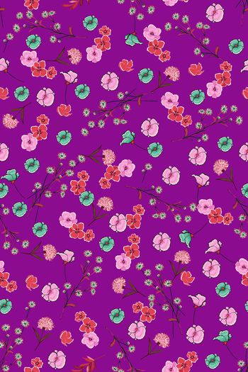 1550487-花卉22018-2