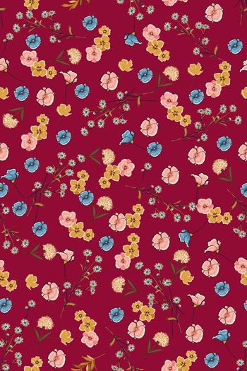 1550488-花卉22018-3