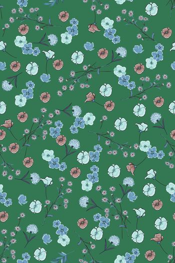 1550489-花卉22018-4