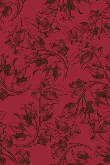 1550492-花卉22020-3