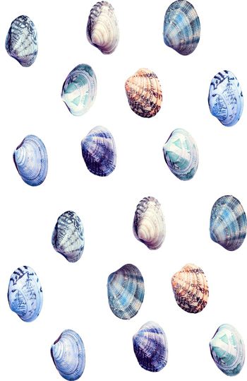 贝壳印花华亿平台图片