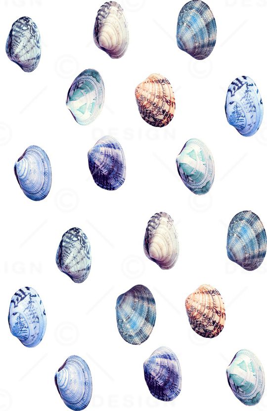 贝壳印花华亿平台图片