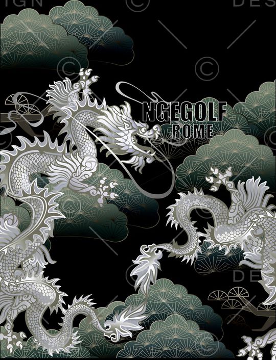 龙印花华亿平台图片