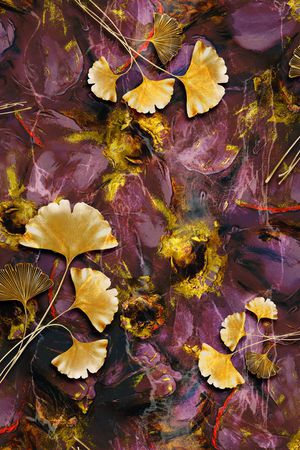 中老年印花华亿平台图片