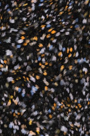 动物纹印花华亿平台图片