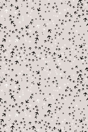 燕子印花华亿平台图片