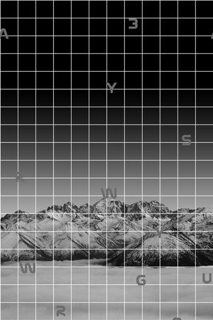 定位花印花华亿平台图片