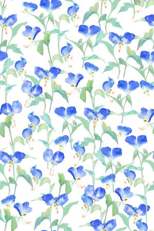 真丝印花华亿平台图片