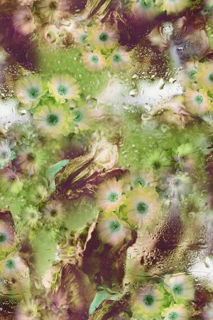 中老年印花华亿平台图片