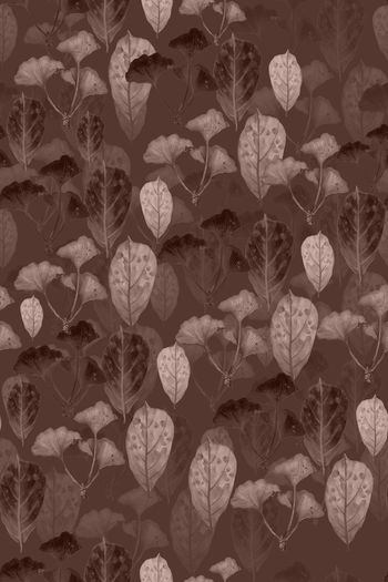 秋叶印花华亿平台图片