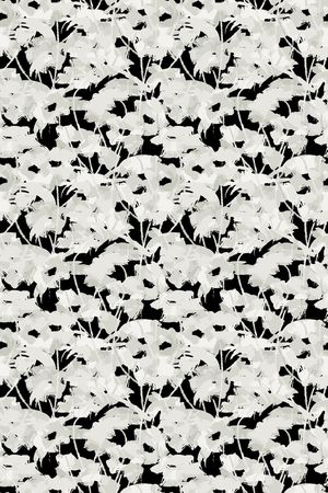 时尚印花华亿平台图片