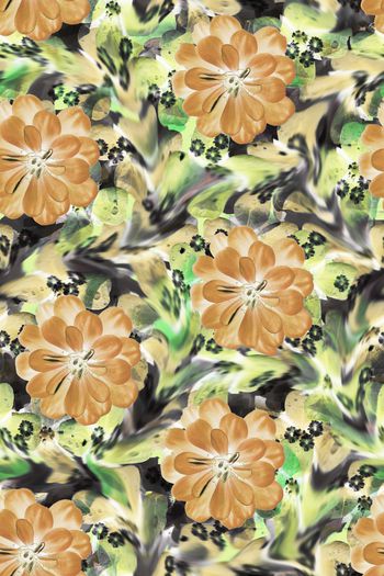 1553219-三角梅花卉2