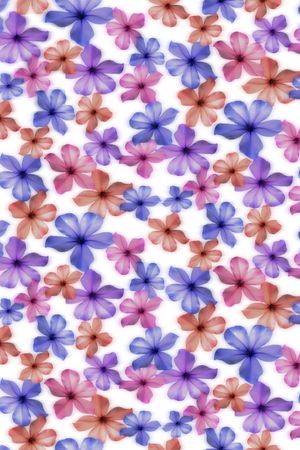 小清新印花华亿平台图片