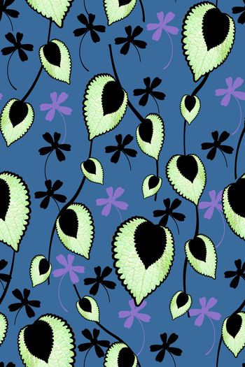 1553774-蓝色小翠花2