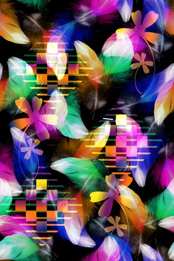 1553776-羽毛变换