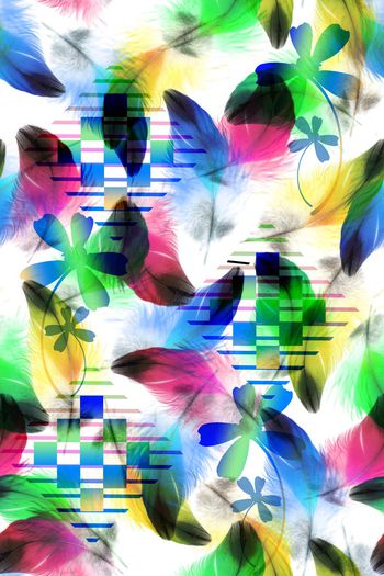 1553777-羽毛变换1