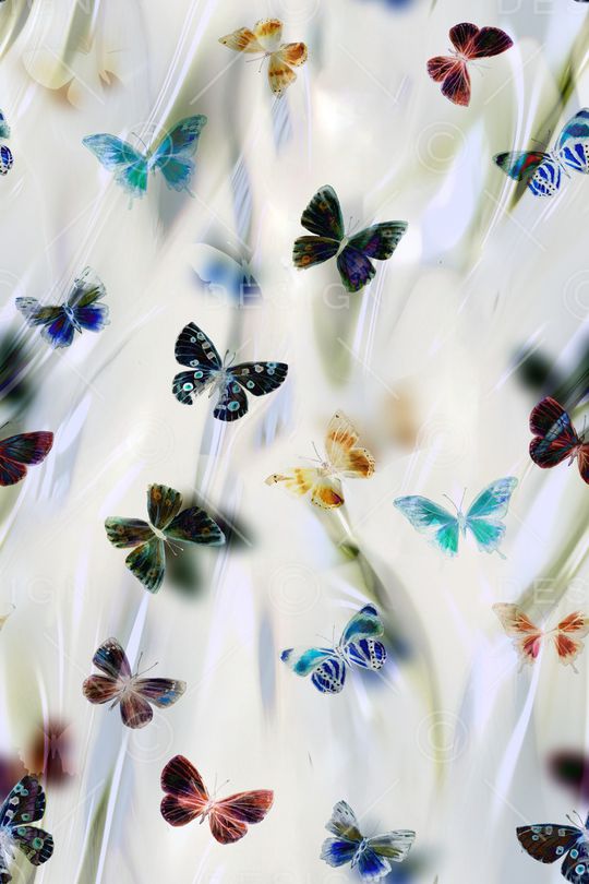 蝴蝶印花华亿平台图片