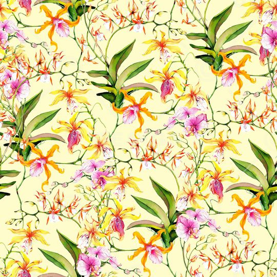 蝴蝶兰印花华亿平台图片