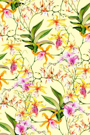 蝴蝶兰印花华亿平台图片