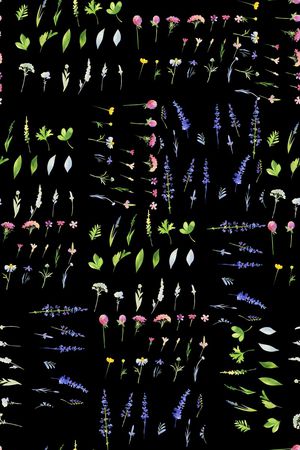 真丝印花华亿平台图片