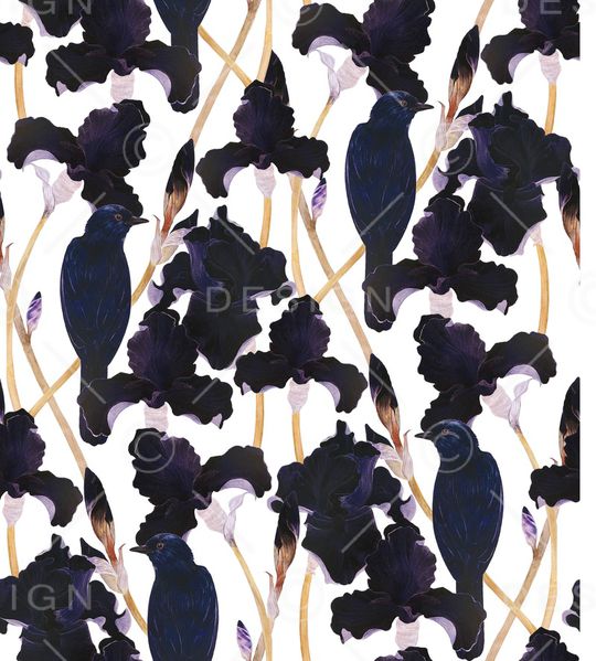 鸢尾花印花华亿平台图片