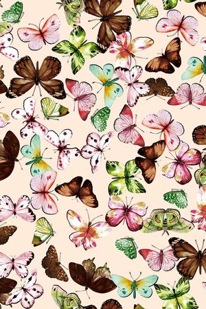 蝴蝶印花华亿平台图片