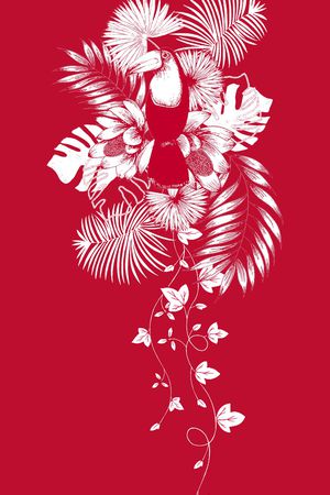 鹦鹉印花华亿平台图片