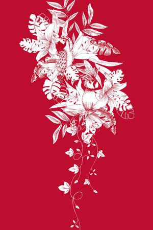 鹦鹉印花华亿平台图片