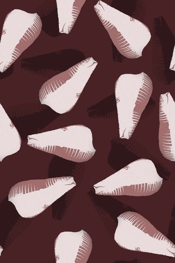 1554552-贝壳抽象1