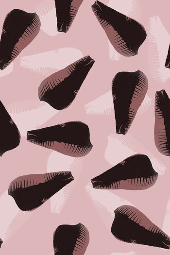 1554553-贝壳抽象2