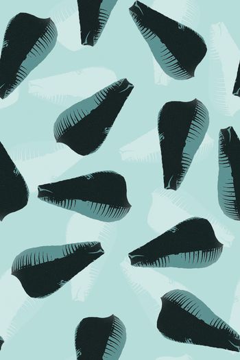 1554554-贝壳抽象3