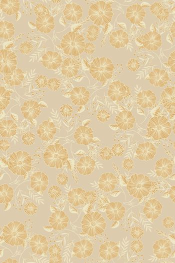 1554561-花卉22030-4