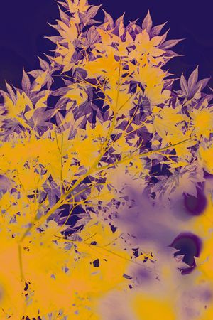 香云纱印花华亿平台图片