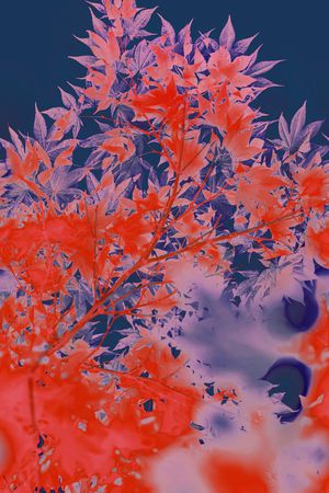 香云纱印花华亿平台图片