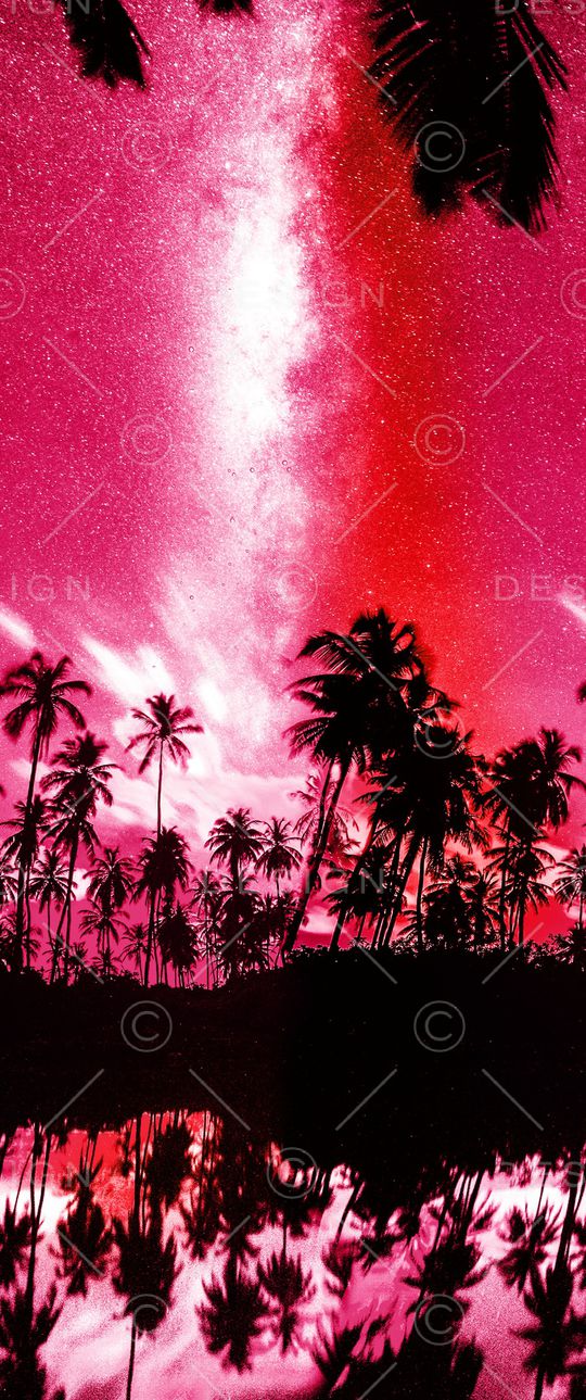 棕榈树印花华亿平台图片