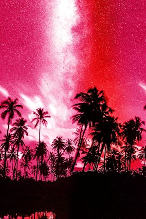 棕榈树印花华亿平台图片