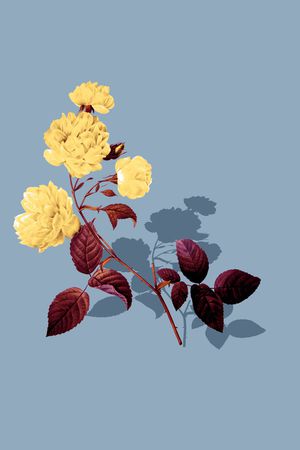 大牌风印花华亿平台图片