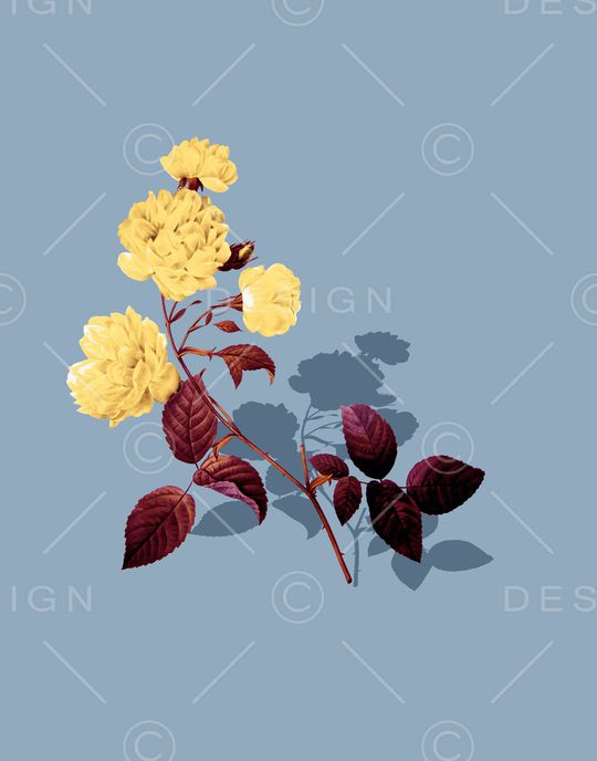 大牌风印花华亿平台图片