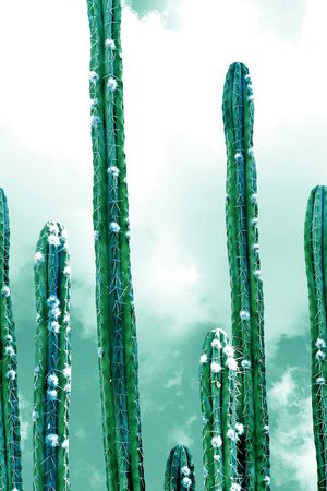 天空印花华亿平台图片