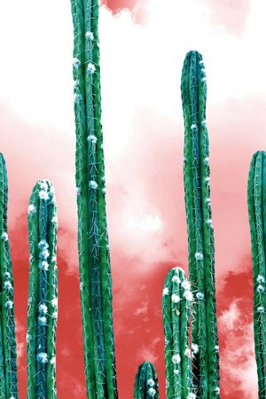 天空印花华亿平台图片