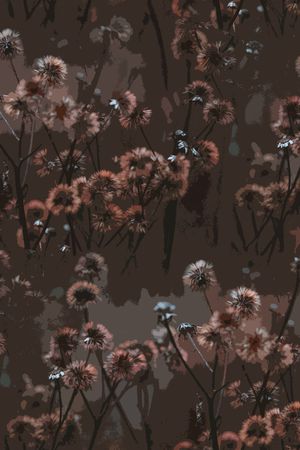 秋冬华亿平台印花华亿平台图片