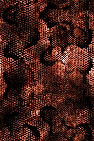 动物纹印花华亿平台图片